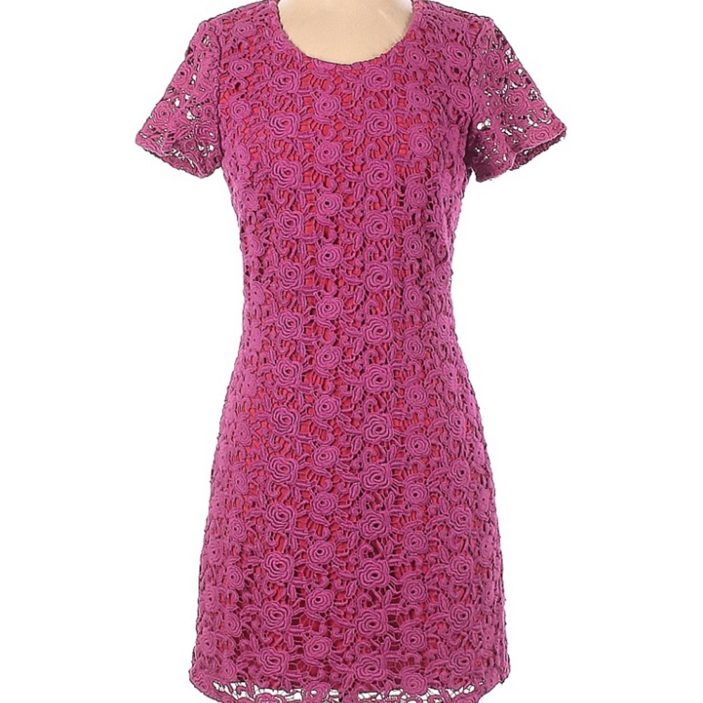 Dallin Chase Embroidered Dress